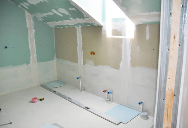 Best Mold Remediation for Rental Properties  in Danville, KY