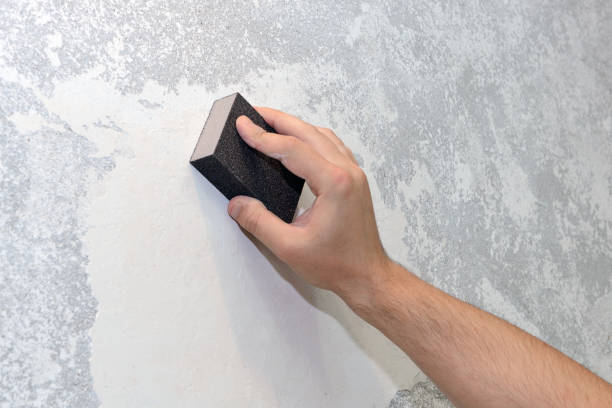 Best Mold Remediation for Vacation Homes  in Danville, KY