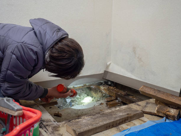 Best Commercial Mold Inspection  in Danville, KY