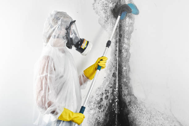 Best Biohazard Mold Removal  in Danville, KY