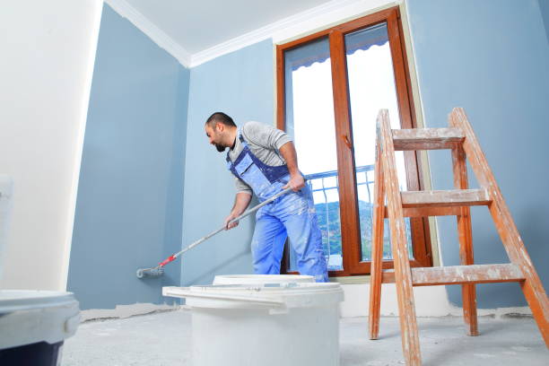 Best Basement Mold Removal  in Danville, KY
