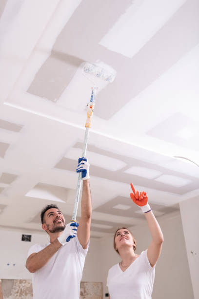 Environmental Consulting for Mold Prevention in Danville, KY