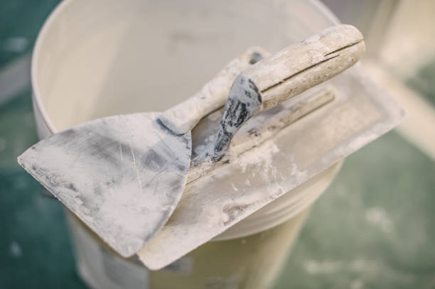 Best Environmental Consulting for Mold Prevention  in Danville, KY