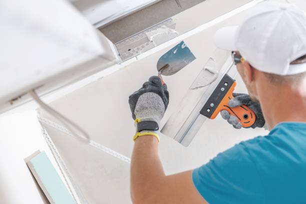 Best Mold Documentation for Insurance Claims  in Danville, KY